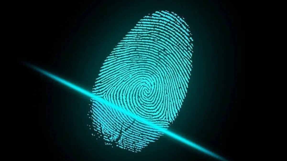 unique fingerprints