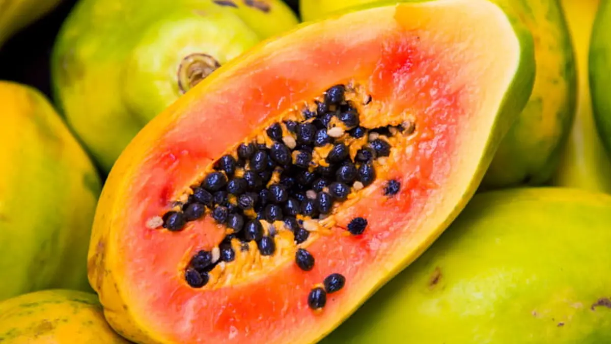 Papaya