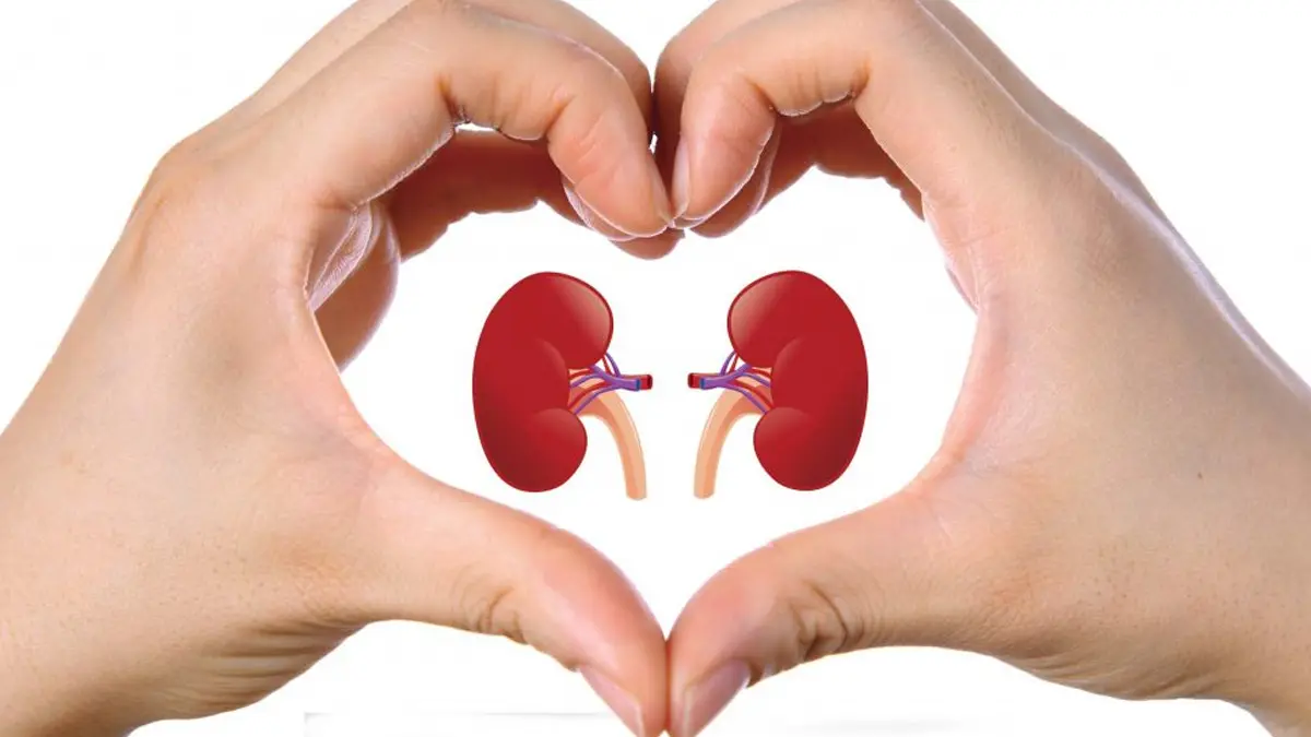 One Kidney