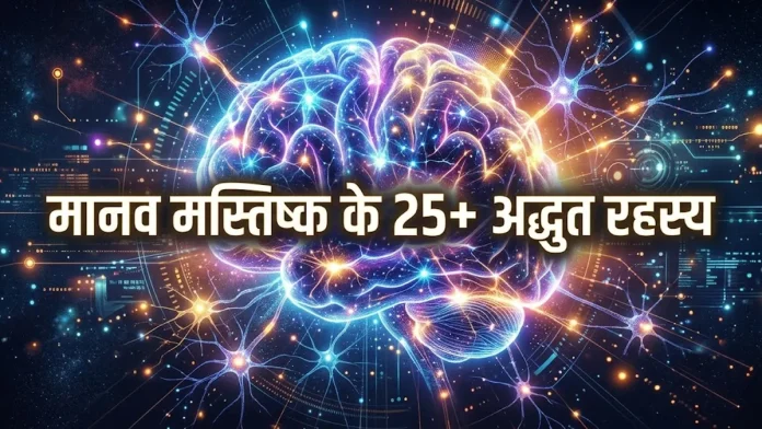 human brain amazing facts in hindi