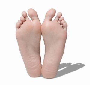 The soles of your feet contain more sweat glands and nerve endings per square inch than anywhere else on your body.