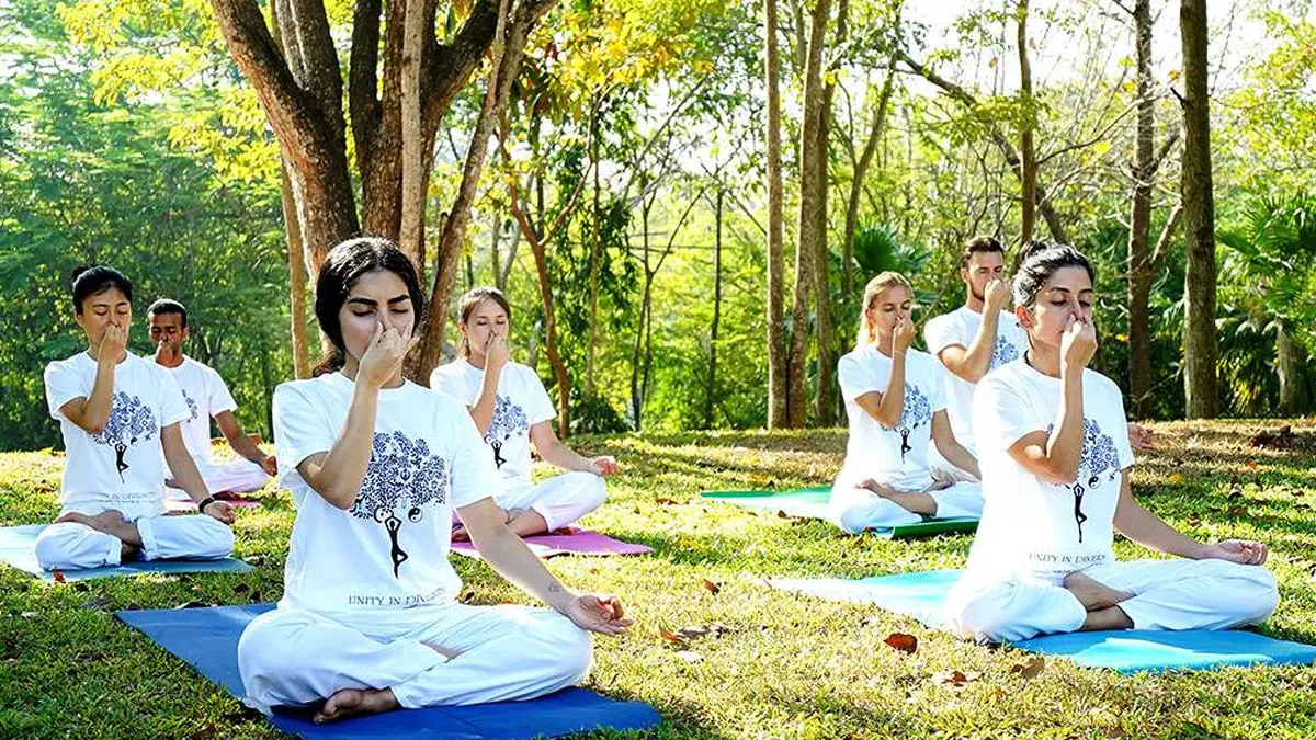 Yoga and Pranayama