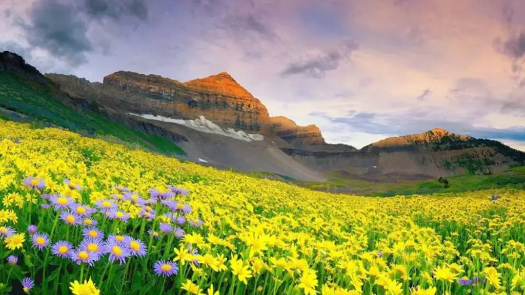valley-of-flowers-trek-infohotspot