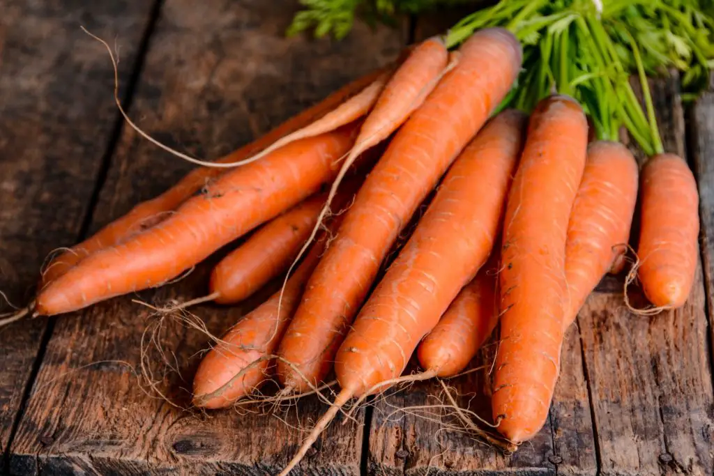 carrot - summe rvegetables