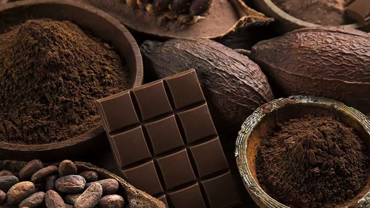 Dark Chocolate आपको इतनी बीमारियों से दूर रखती हे, क्या आप जानते हे ?