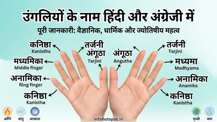 Fingers Name in Hindi
