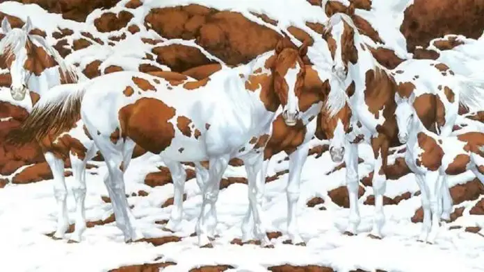 Horses-Can-You-Find-in-This-Viral-Optical-Illusion