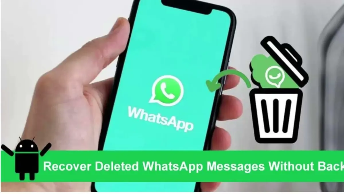 WhatsApp data