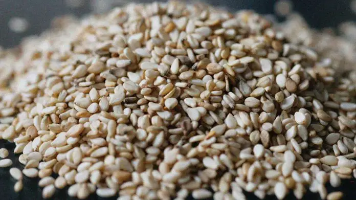 sesame-seeds-hindi