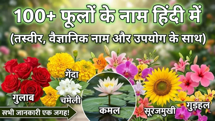 flowers name in hindi