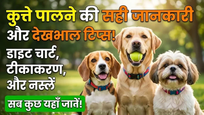Dog Care Guide in Hindi