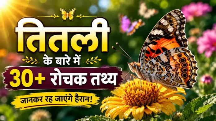 Butterfly in Hindi - तितली का जीवन चक्र और रोचक तथ्य