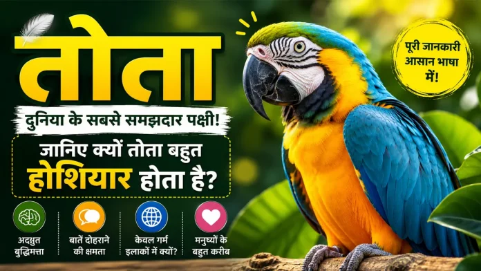 parrot information in hindi