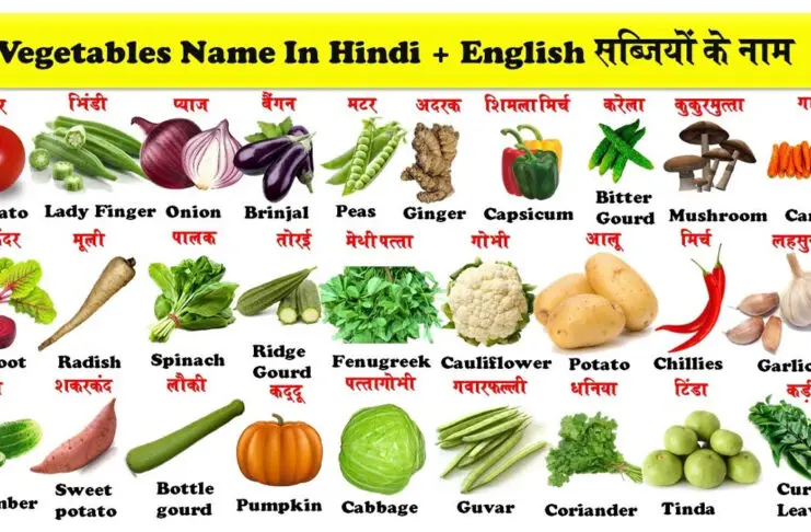 vegetables name in hindi and english