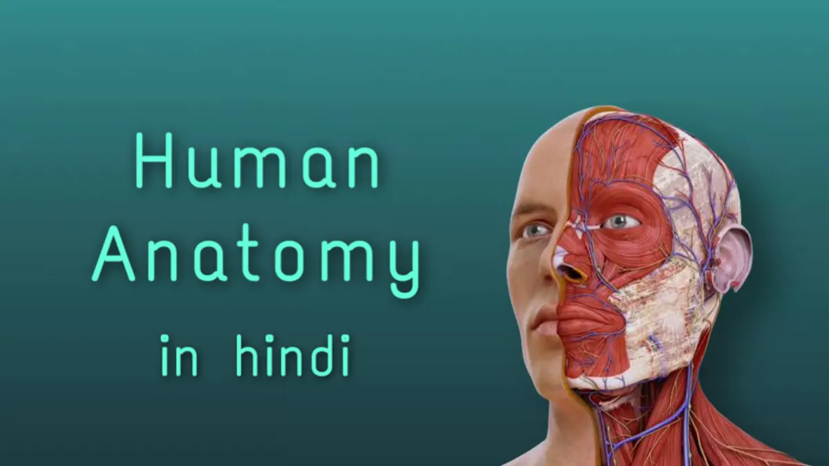 Anatomy in Hindi