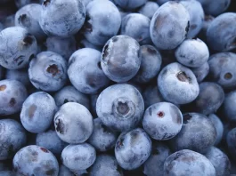 Blueberry in Hindi