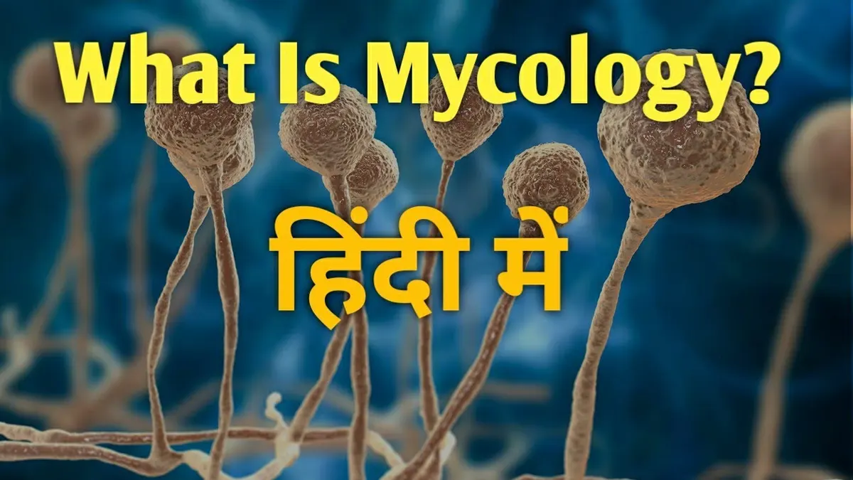 Mycology in Hindi