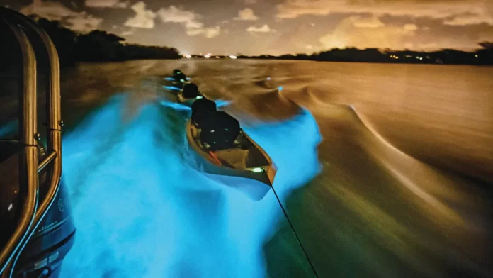 indian river lagoon bioluminescence