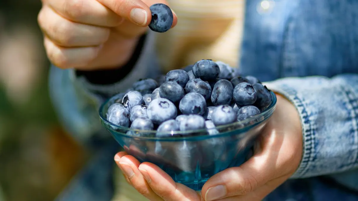 Health benefits of blueberries