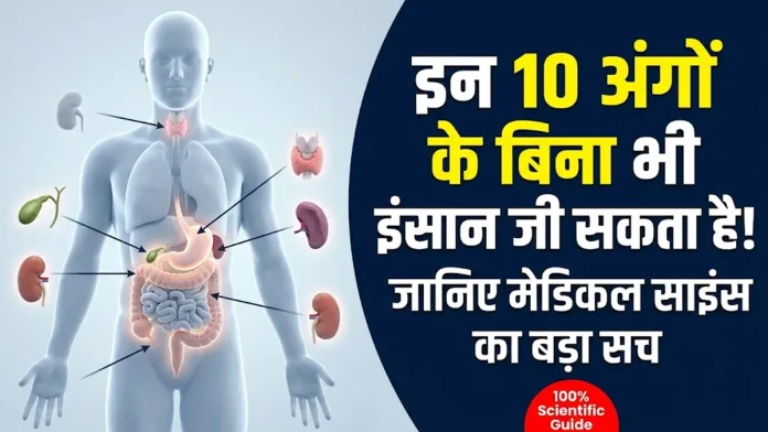 मानव शरीर के 10 ऐसे अंग जिनके बिना भी इंसान सामान्य जीवन जी सकता है इंफोग्राफिक