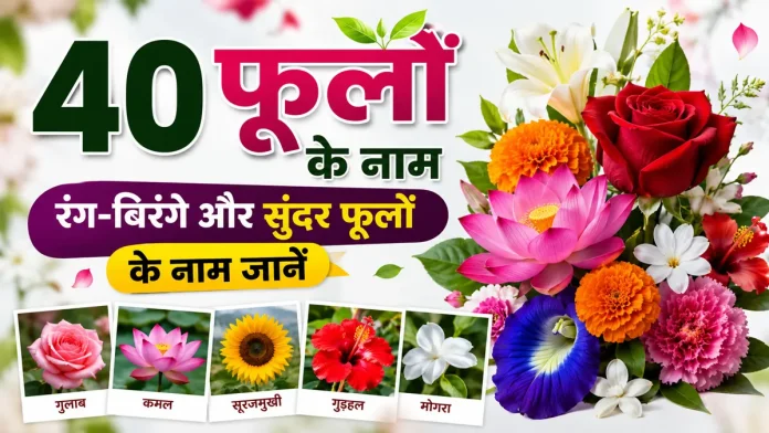 40 phoolon ke naam hindi aur english me