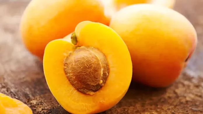 Apricot