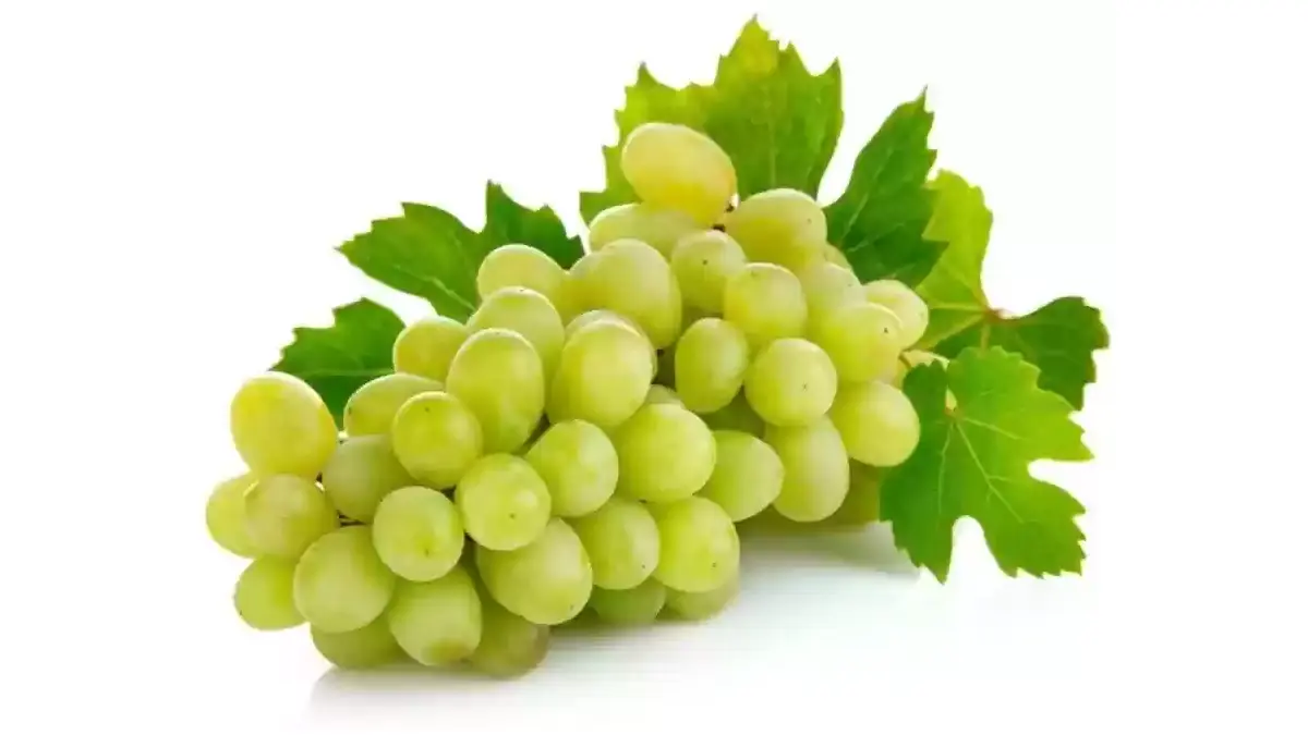 Grapes 2