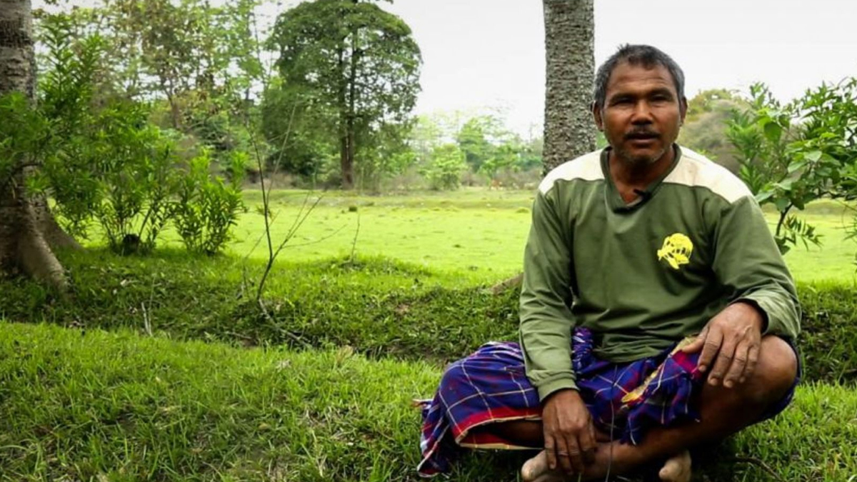 Jadav Payeng Forest