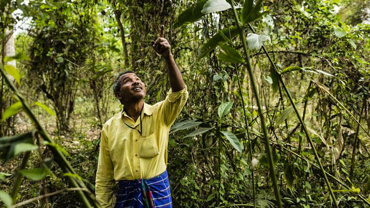 the forest man of india